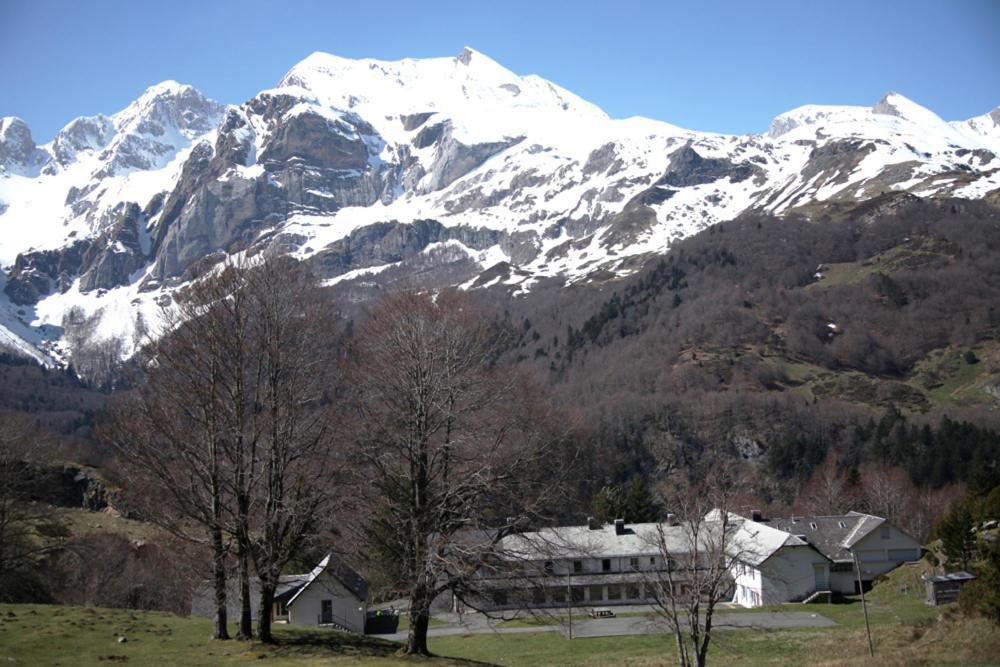 Peyranere